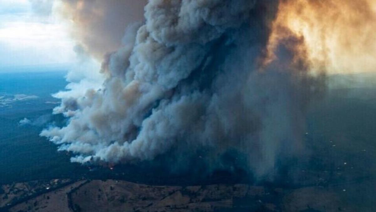 Ubisoft ve Bungie’den Avustralya’daki Yangından Zarar Görenlere Yardım