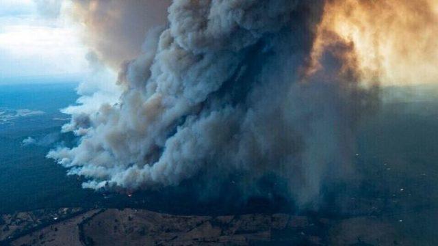 Ubisoft ve Bungie’den Avustralya’daki Yangından Zarar Görenlere Yardım