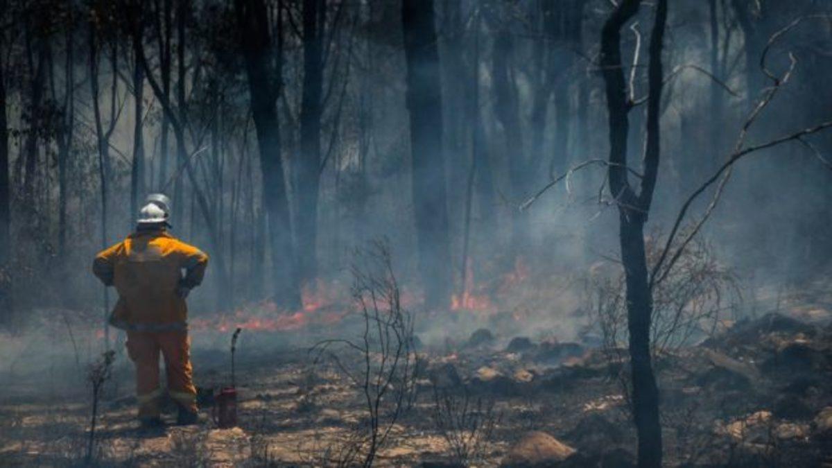 Avustralya Yangınları, Küresel Isınma Etkisindeki Dünya İçin ’Normal’ Bir Olay