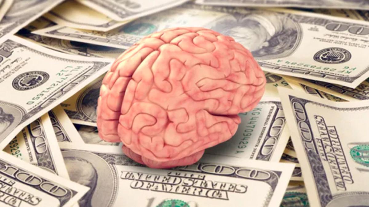 İnsanın Beynine Dış Ticaret Açığı Verdiren 10 Çarpıcı Belgesel