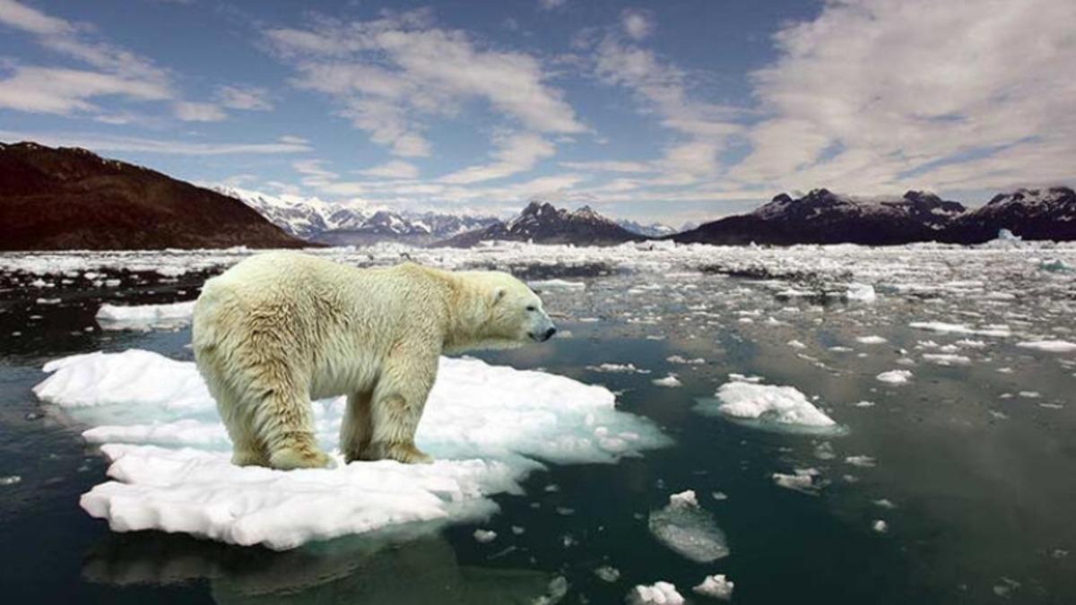 2019 Yılı, Tarihte Bilinen En Sıcak 2. Yıl Oldu