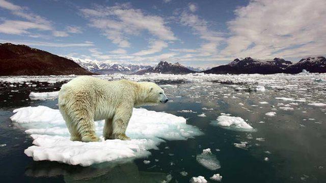 2019 Yılı, Tarihte Bilinen En Sıcak 2. Yıl Oldu