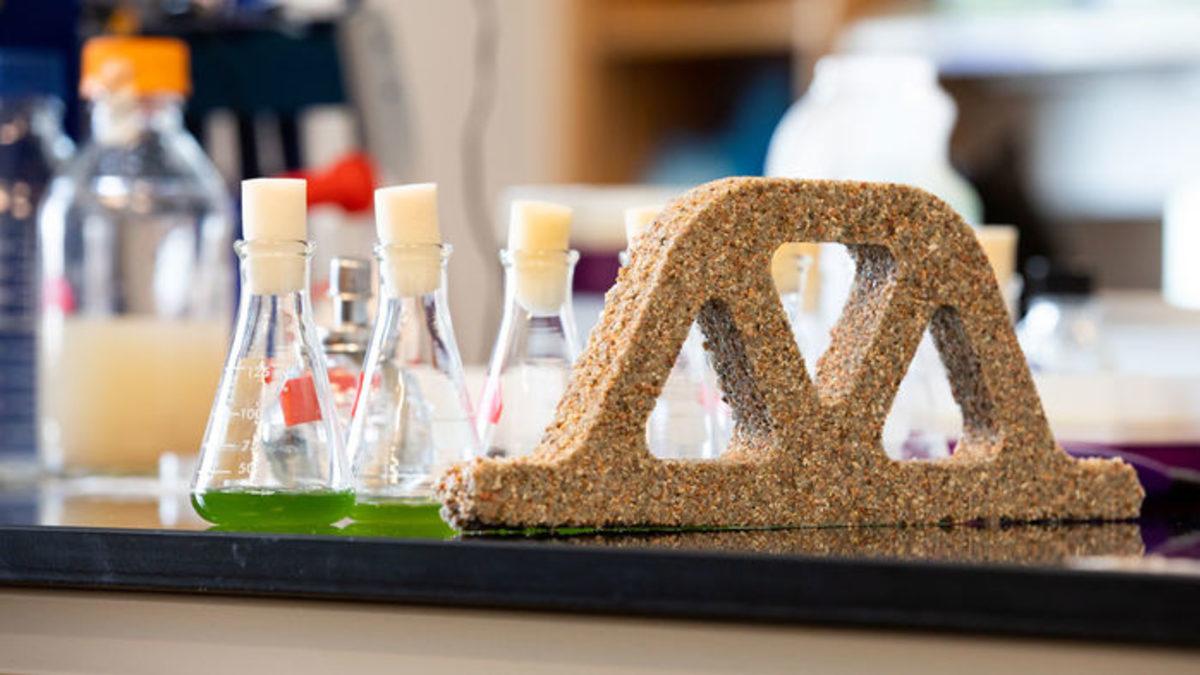 Bilim İnsanları, Kendi Kendini Çoğaltabilen Malzeme Üretti