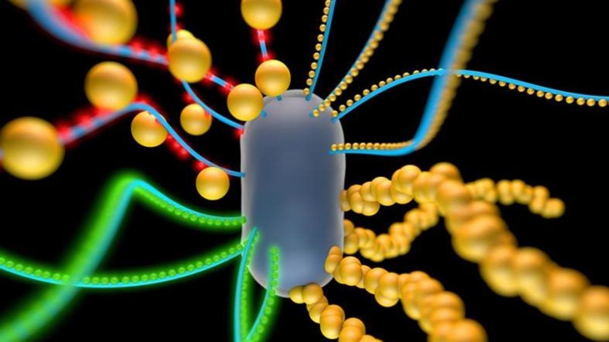 Bilim İnsanları, Kendi Kendini Çoğaltabilen Malzeme Üretti