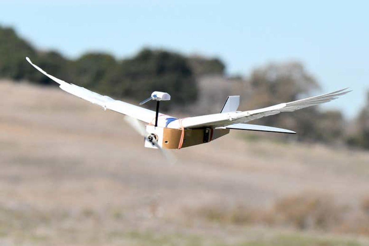 Bilim İnsanları, Gerçek Güvercin Tüyleriyle Donatılmış Bir Robot Tasarladılar