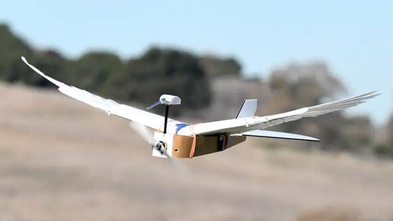 Bilim İnsanları, Gerçek Güvercin Tüyleriyle Donatılmış Bir Robot Tasarladılar