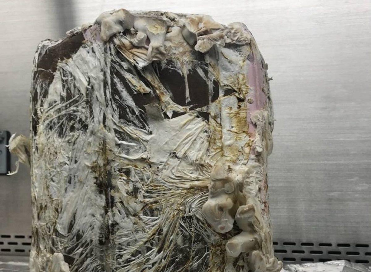 NASA’ya Göre Gelecekte Ay ve Mars’taki Evlerimiz Mantarlardan Yapılabilir