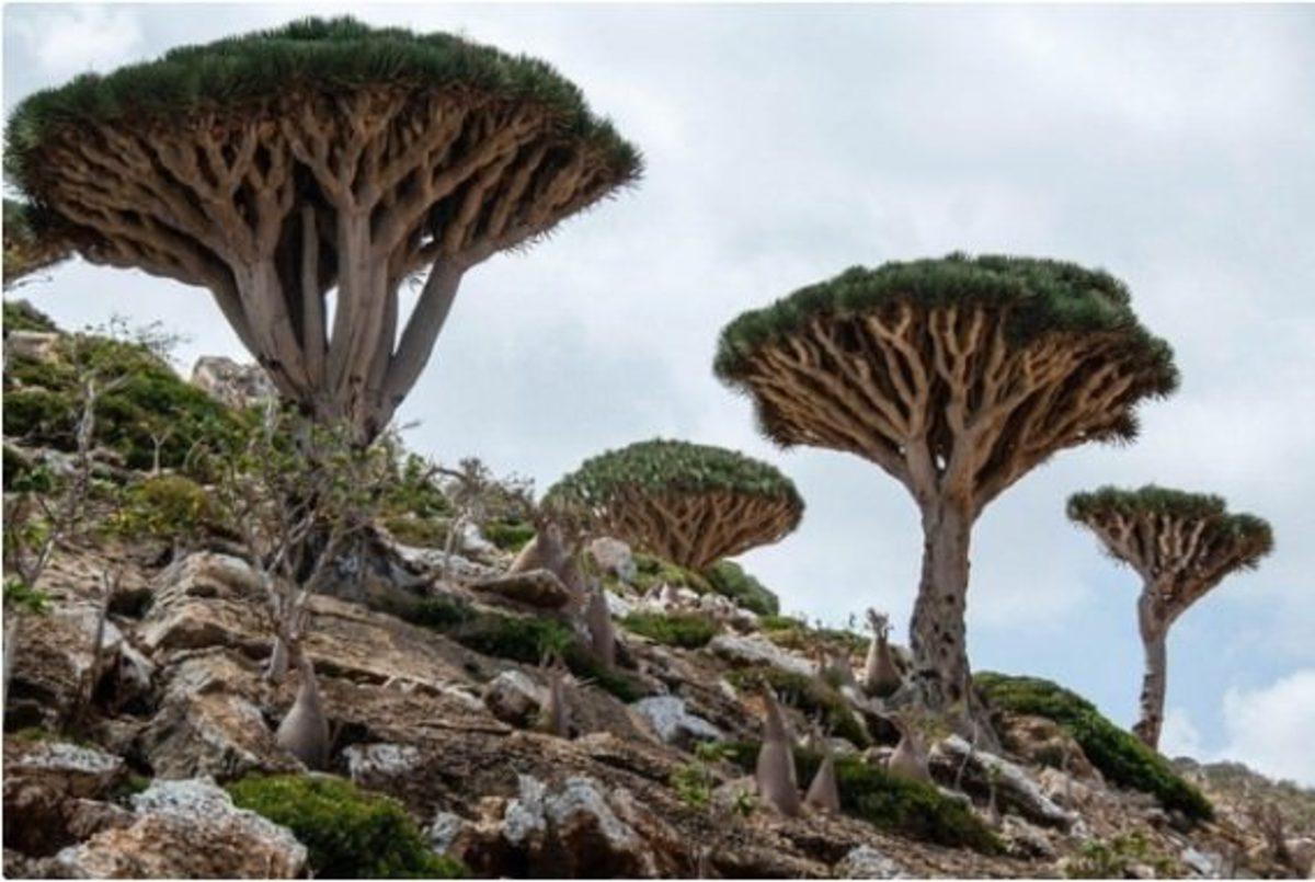 Dünyanın Gerçek Olamayacak Kadar Güzel 10 Doğa Harikası