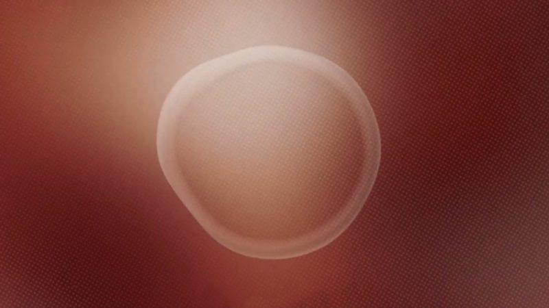 Dünyanın İlk Cinsiyetsiz Yapay Zeka Sesi (Video)