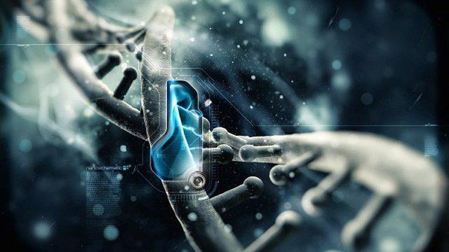 Bitki DNA’larını Değiştirmede Kullanılabilecek Yeni Bir Yöntem Keşfedildi