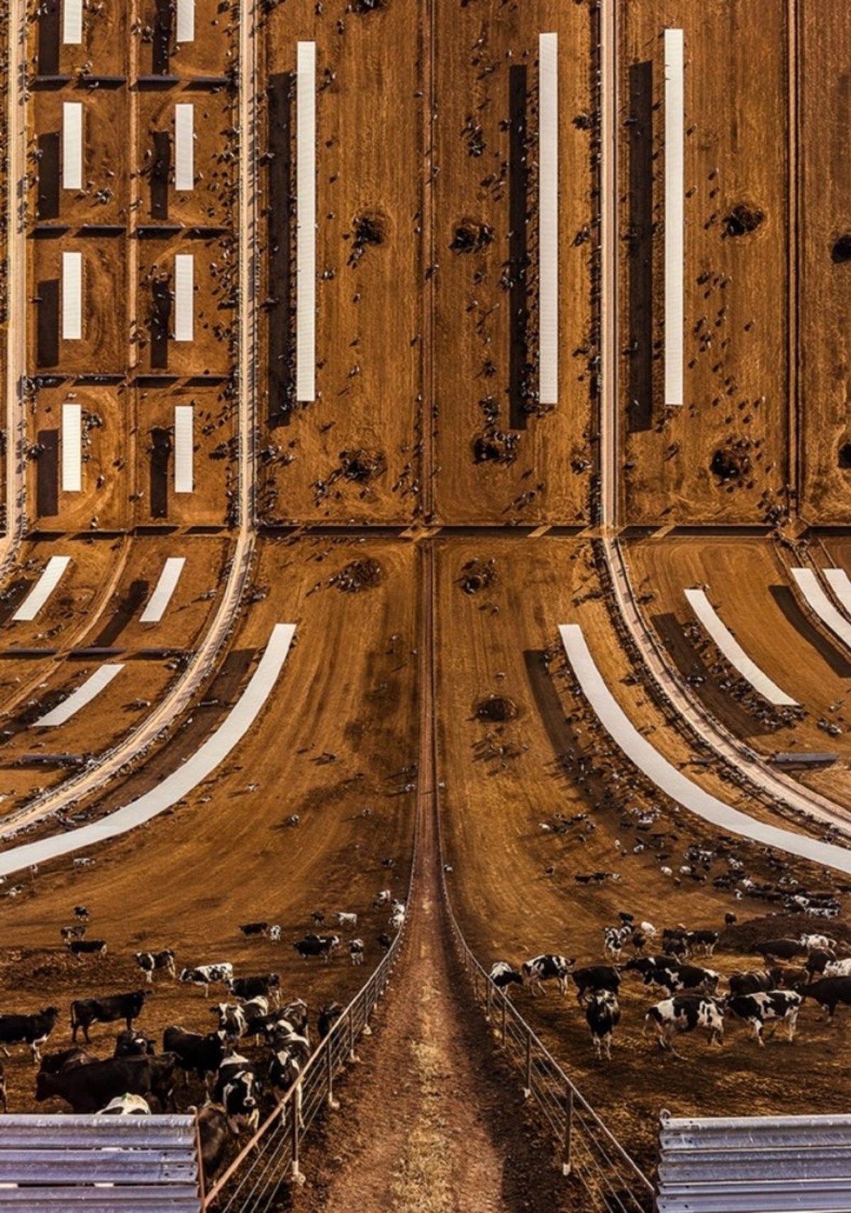 Türk Fotoğraf Sanatçısından Inception Filmini Aratmayan 19 Fotoğraf