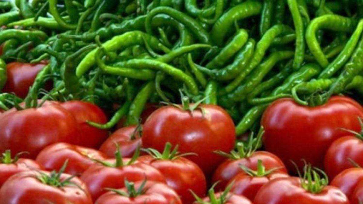 Greenpeace: Türkiye’deki Domates, Biber ve Salatalığın Yüzde 15’i Zehirli