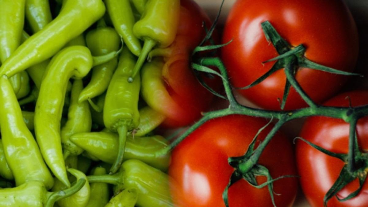 Greenpeace: Türkiye’deki Domates, Biber ve Salatalığın Yüzde 15’i Zehirli