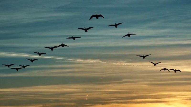 Fizikçiler, Farklılıkların Uyum Sağlayabileceğini Ortaya Çıkardı