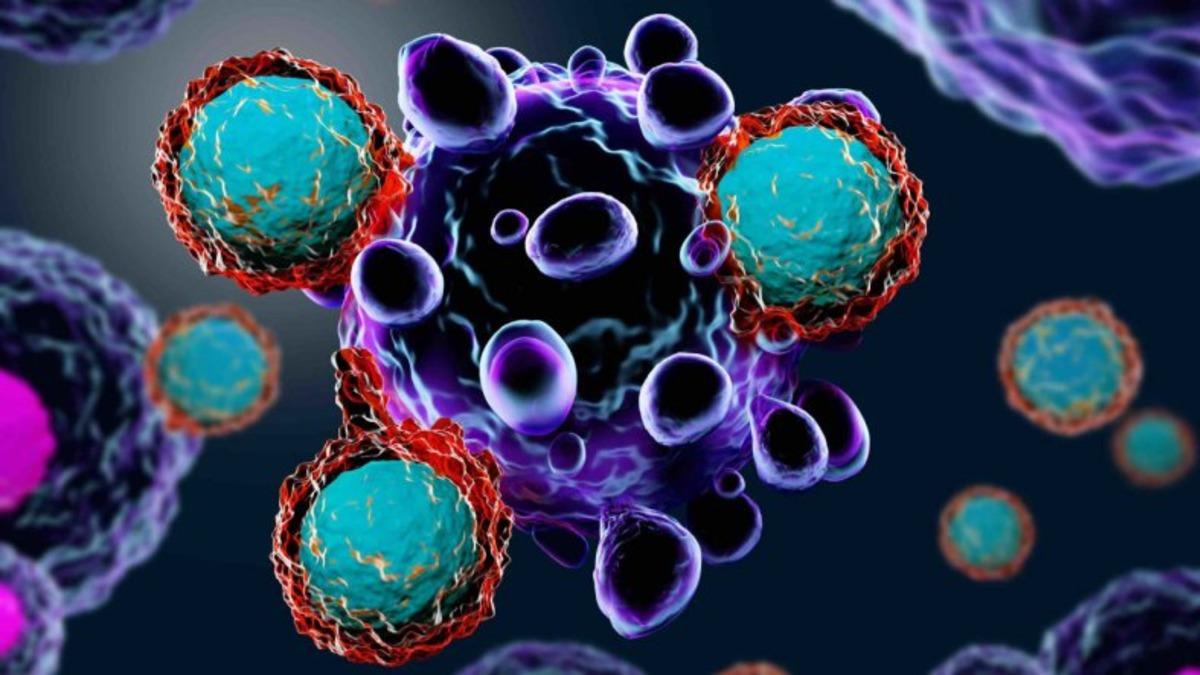 Kanser Tedavisinde Devrim Yapabilecek Yeni Bir T-Hücresi Yaratıldı