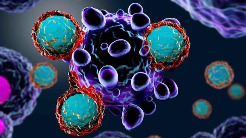 Kanser Tedavisinde Devrim Yapabilecek Yeni Bir T-Hücresi Yaratıldı