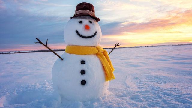 Bilim İnsanları, Mükemmel Kardan Adamın Formülünü Açıkladılar