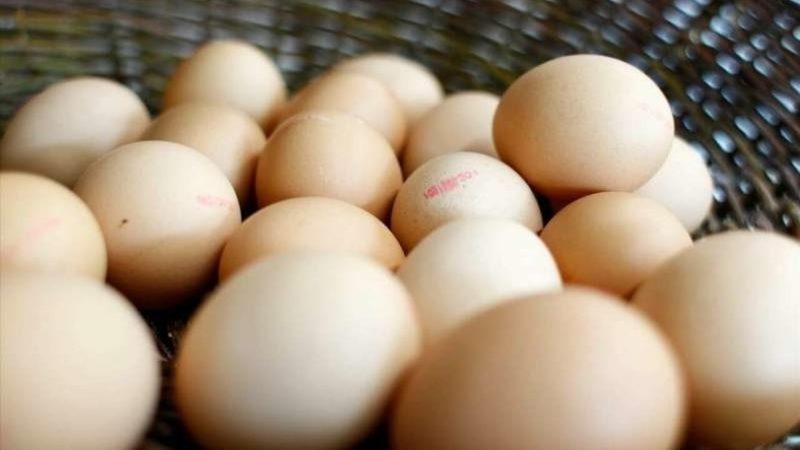 Bilim İnsanları, Yumurta Kabuğunda Enerji Depolamayı Başardılar