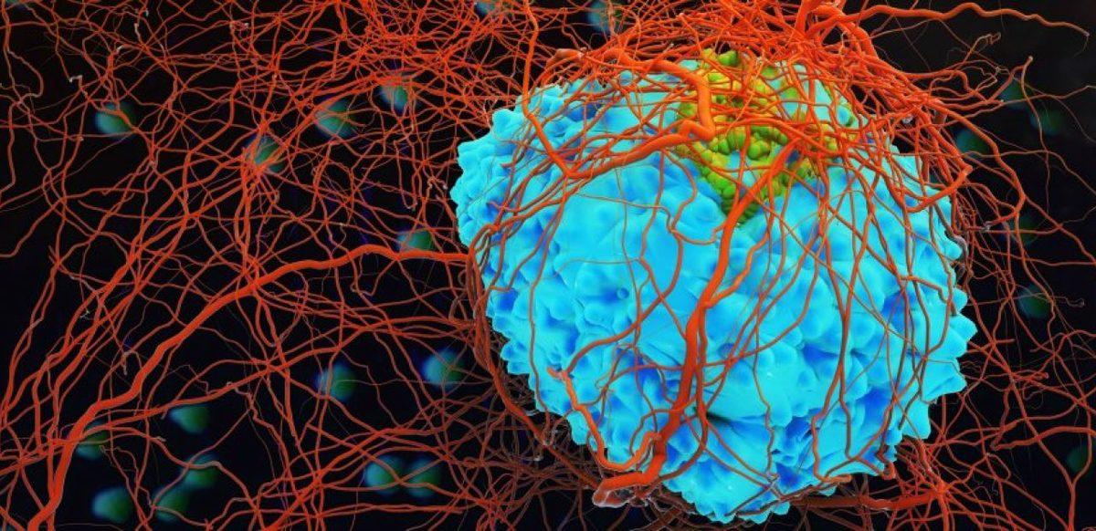 Kanserle Mücadele İçin Kurulan OCRA Vakfı’ndan Türk Bilim İnsanına Ödül