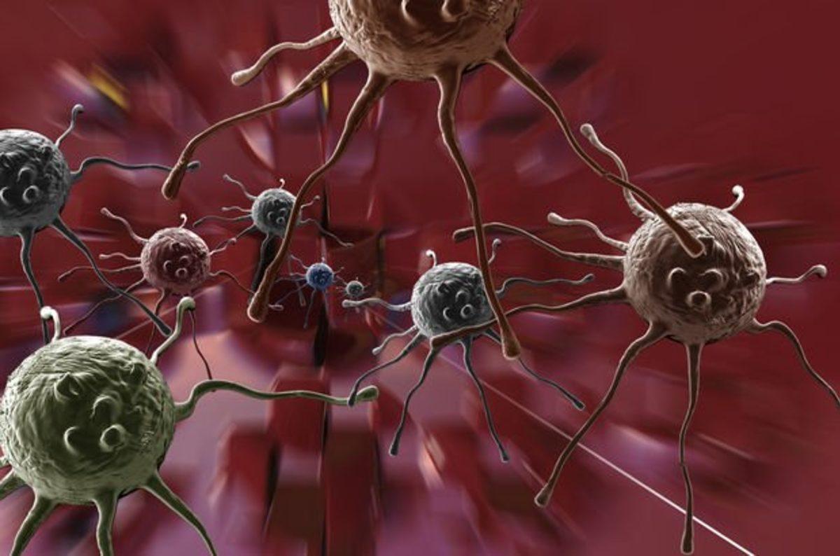 Türk Doktor, Hepatit B’nin Anne Karnında Engellenebildiğini Açıkladı