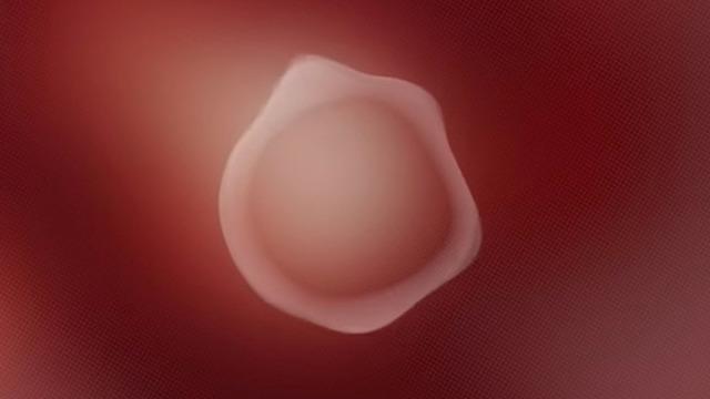 İlk Cinsiyetsiz Sesli Asistan Q, Ayrımcılıkla Mücadelenin Sembolü Oldu