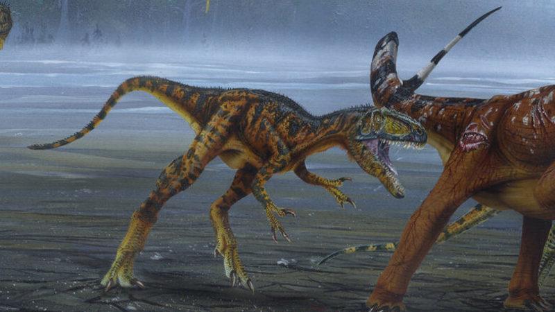 Etçil Olduğu Öğrenilen Yeni Bir Dinozor Türü Keşfedildi