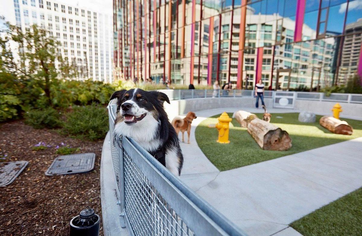 Her Şeyi Satın Alamadığınız Amazon Hakkında 10 Önemli Detay