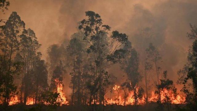 NASA, Avustralya’daki Yangının Etkilerini Gösteren Bir Animasyon Yayınladı