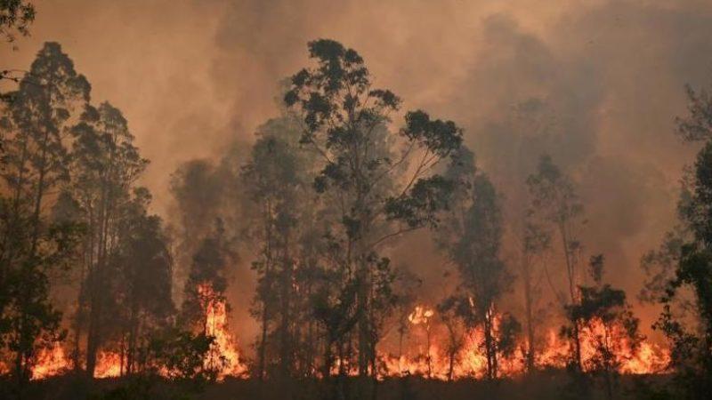 NASA, Avustralya’daki Yangının Etkilerini Gösteren Bir Animasyon Yayınladı