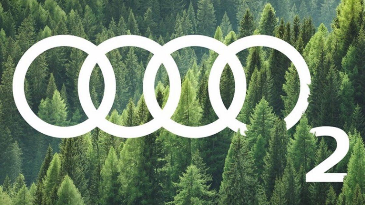 Audi Türkiye’den, İzmir’in Dağlarını Tekrar Yeşillendirecek Proje