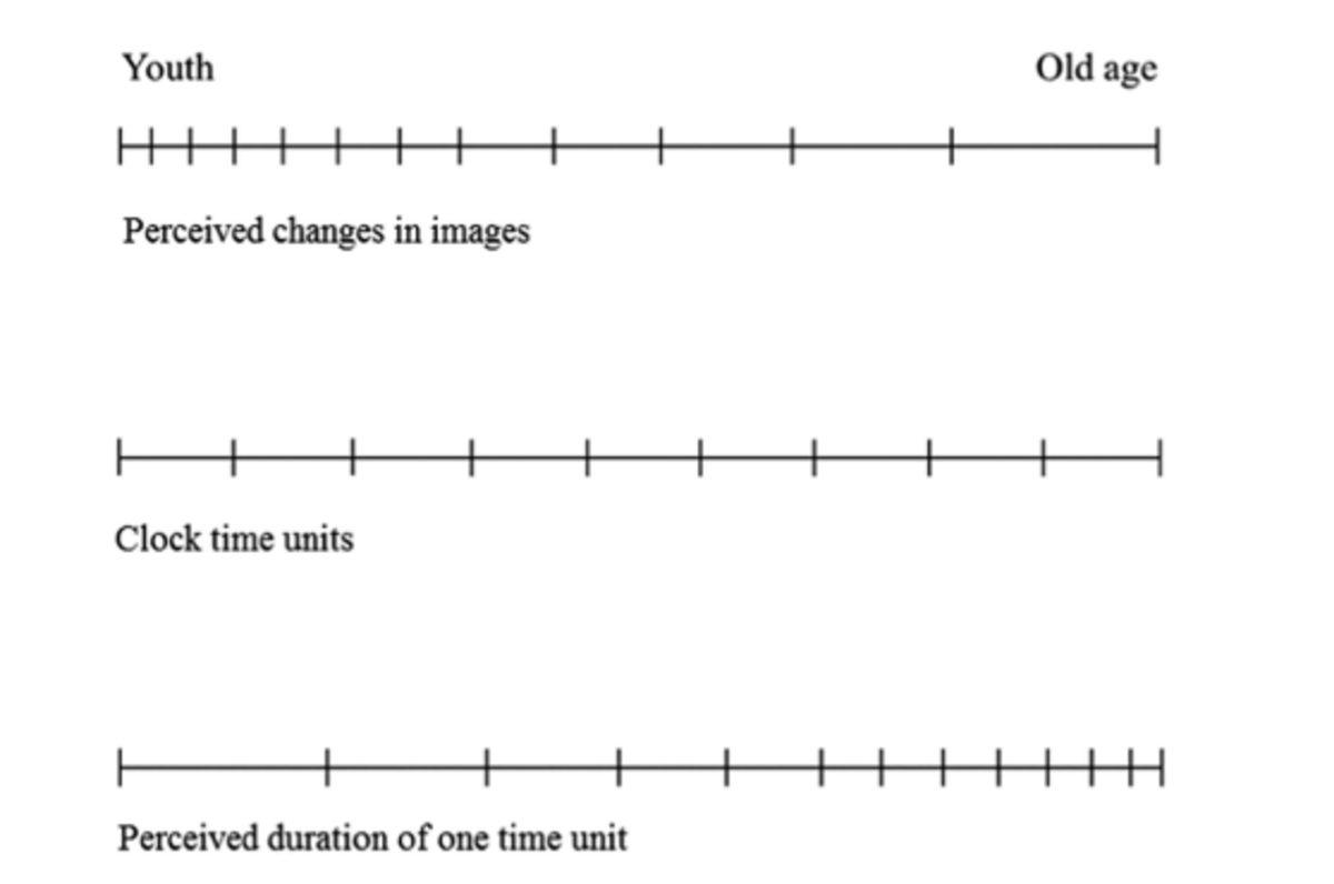 Bir Mühendis, Büyüdükçe Zamanın Neden Daha Hızlı Aktığını Açıkladı
