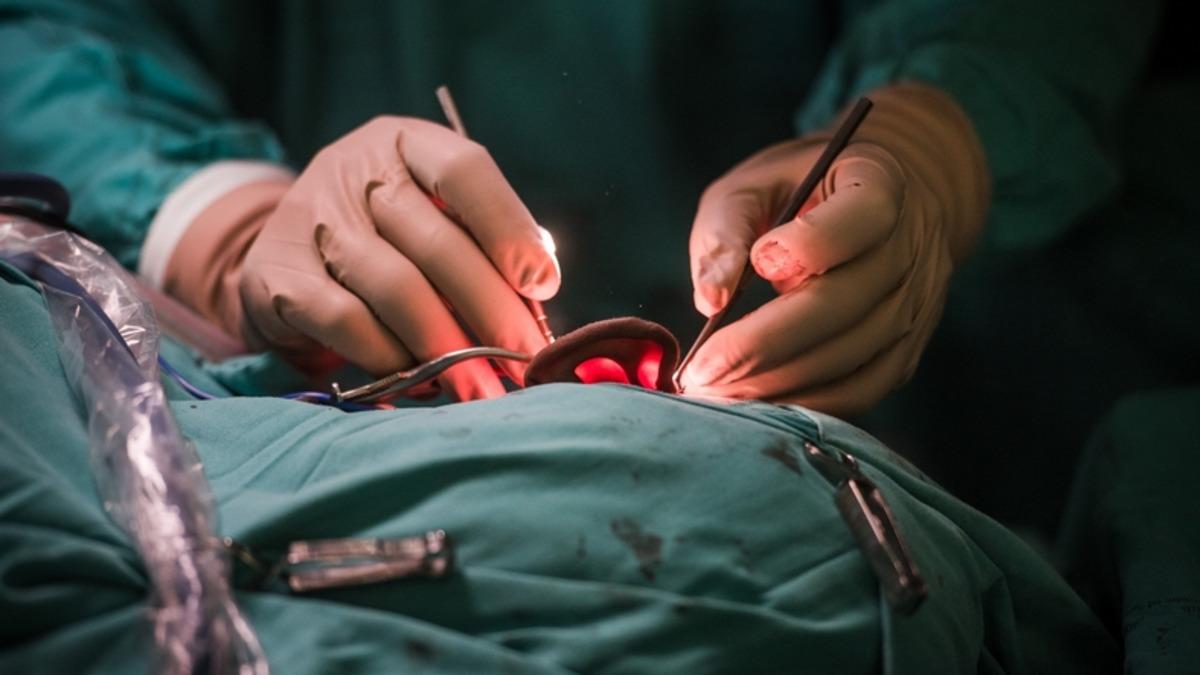 Devrim Niteliğinde Operasyon: 3D Baskı Yöntemiyle Sağırlık Tedavisi Mümkün Oldu