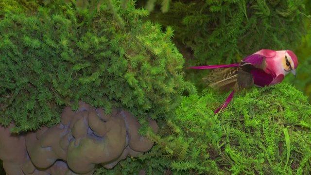 Nobel Ödüllü Türk Bilim İnsanı Aziz Sancar’ın İsmi Verilen Bitki, İlaç Oluyor