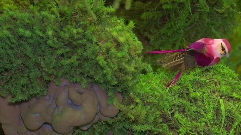 Nobel Ödüllü Türk Bilim İnsanı Aziz Sancar’ın İsmi Verilen Bitki, İlaç Oluyor