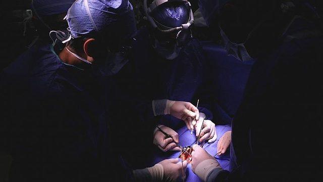 Bilim İnsanları, Kalp Nakline Alternatif Olabilecek Bir Doku Nakli Yöntemi Geliştirdi
