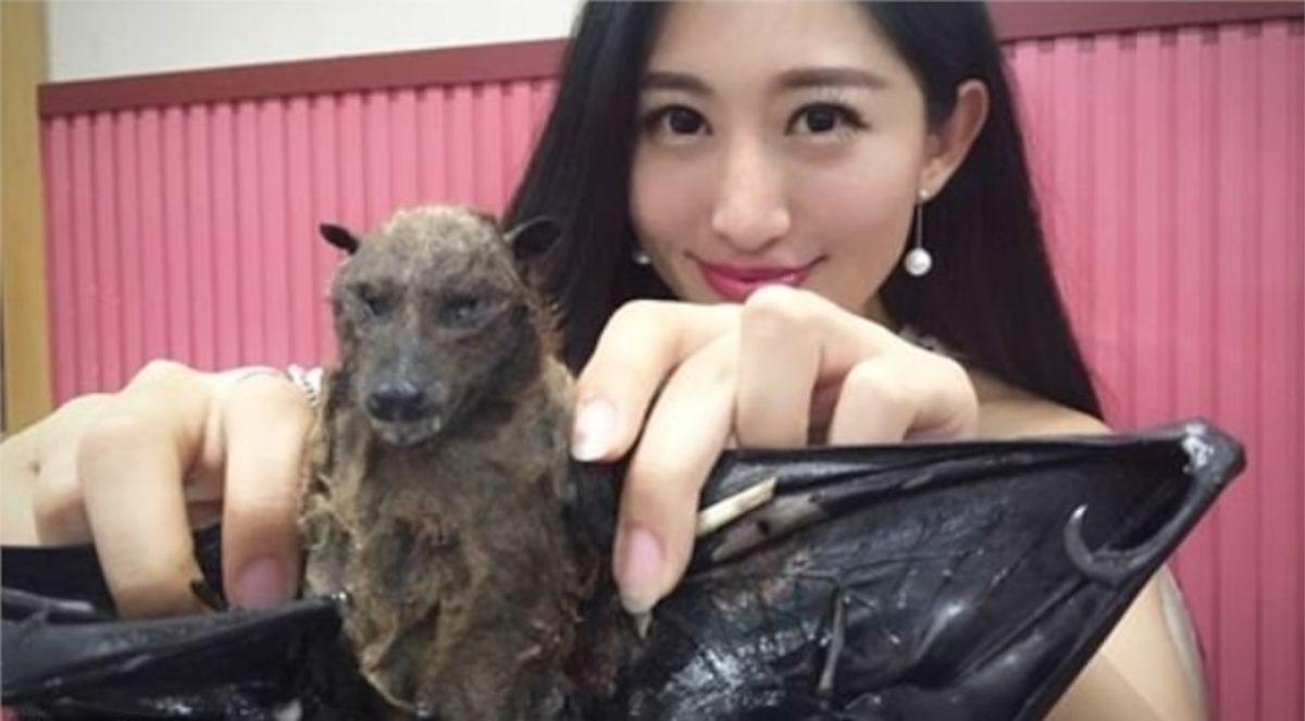 Corona Virüsünden Sonra Yarasa Yediği Video Viral Olan Çinli Sunucu Özür Diledi