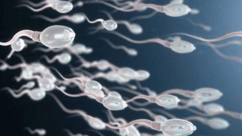 İlk Kez İnsan Sağlığına Zararı Bulunmayan Erkek Doğum Kontrol Hapı Geliştirildi