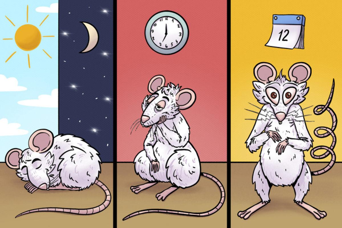 Araştırmalara Göre Yetersiz Uyku, Beyninizin Kendini Kemirmesine Sebep Olabilir