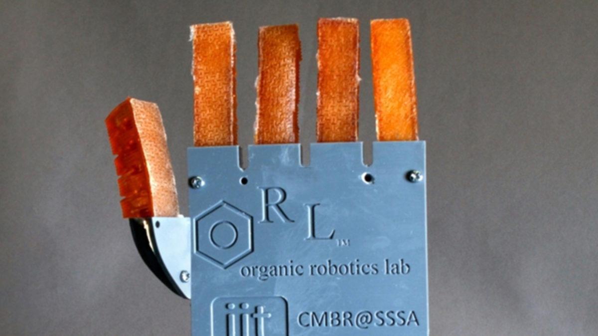 Tıpkı İnsanlar Gibi ’Terleyebilen’ Robotik Kol Geliştirildi