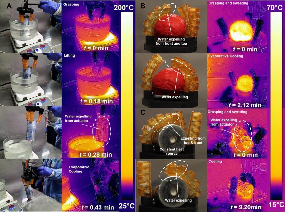 Tıpkı İnsanlar Gibi ’Terleyebilen’ Robotik Kol Geliştirildi