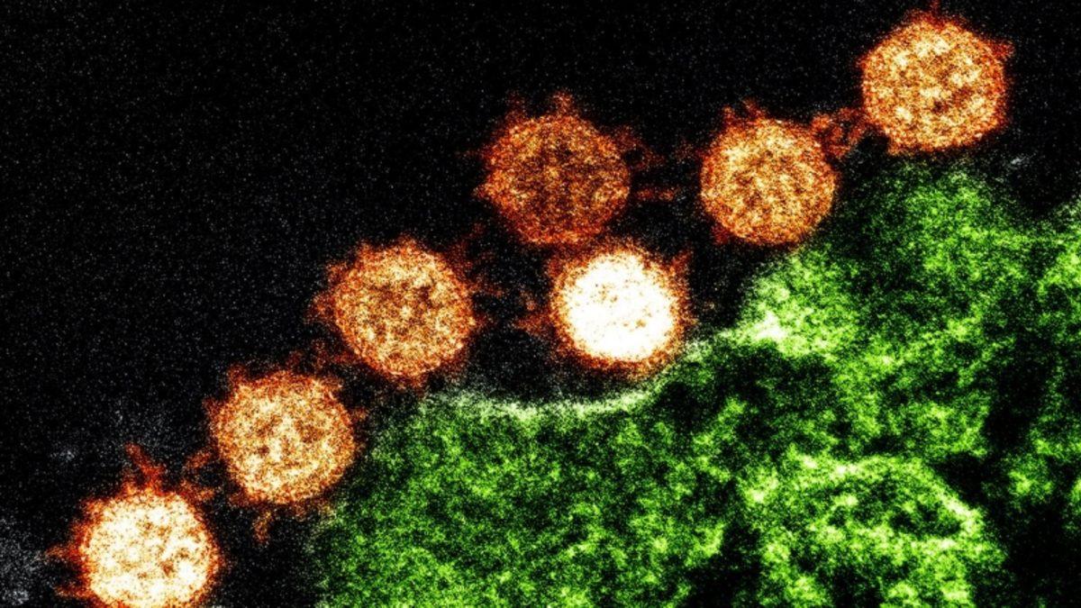 Corona Virüsü Hakkında Ortaya Atılmış En Çarpıcı 3 Komplo Teorisi