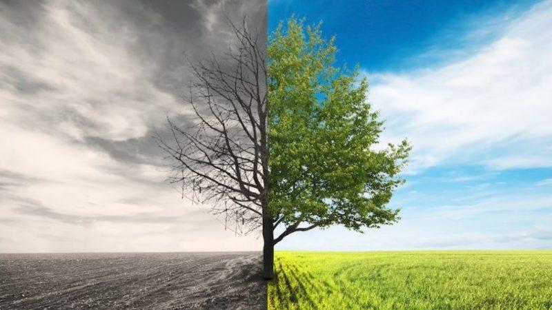 Yeni Araştırmalar, İklim Değişikliğine Kurak Alanlarla Çözüm Sunuyor