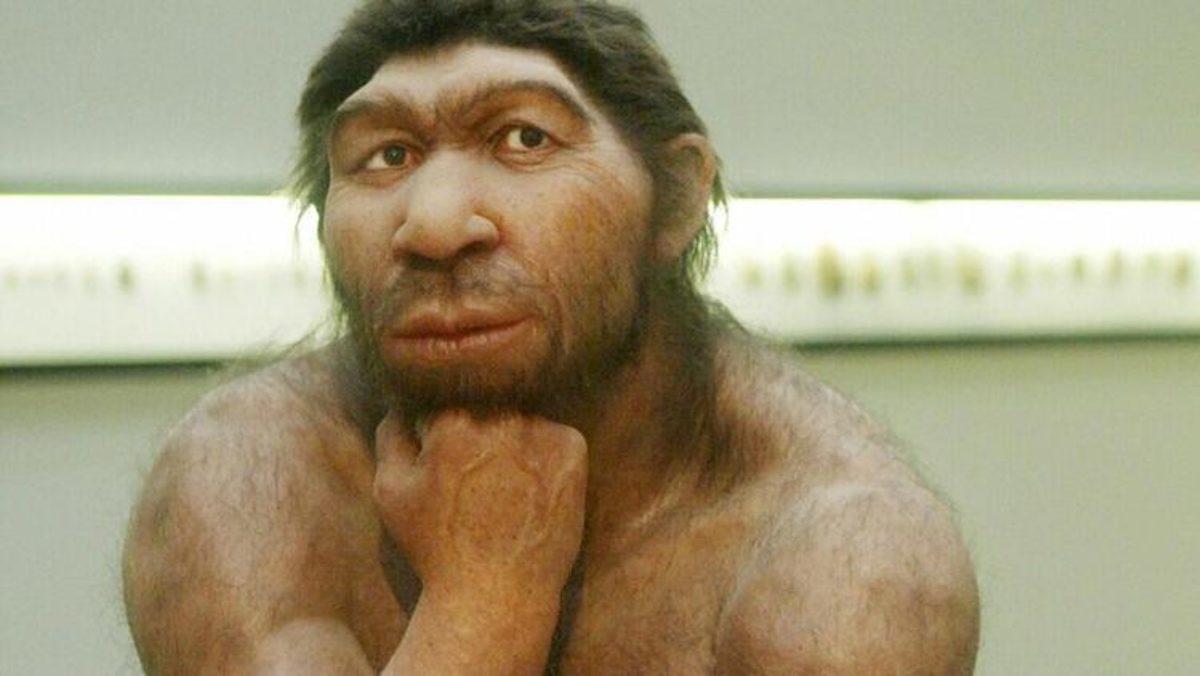 Neandertal DNA’sı, 30 Bin Yıl Önce Avrupalılardan Afrikalılara Geçti