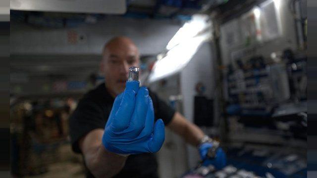 Uzay, İnsan Organları Yetiştirmek İçin İdeal Ortam Olabilir