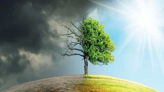 Yenilenebilir Enerji Kullanımı Yaygınlaşırken Hava Kirliliği Neden Artmaya Devam Ediyor?