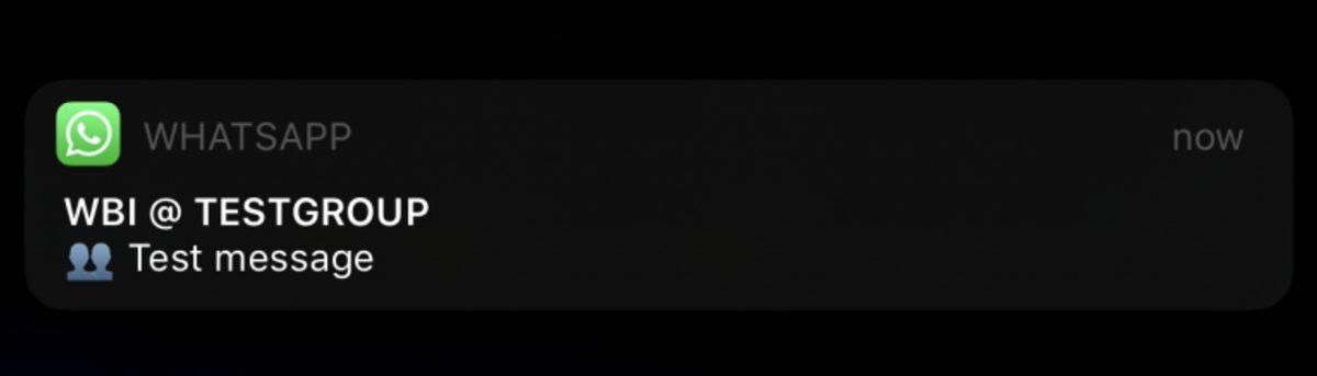 WhatsApp, iOS ve Android Beta Uygulamalarını Güncelledi: İşte Tüm Yenilikler