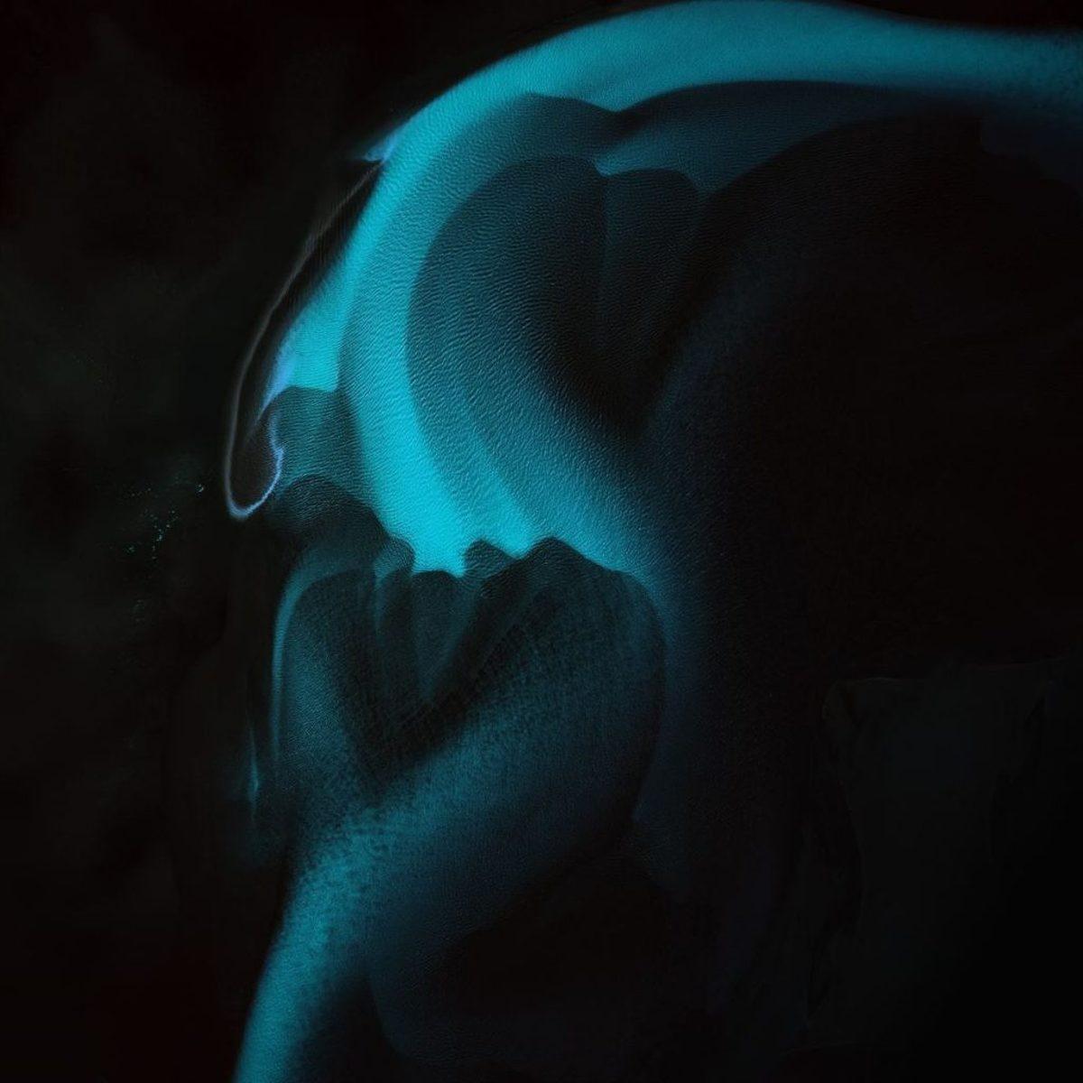 Huawei P30’un Her Telefona Uygun 12 Resmi Duvar Kağıdı Yayınlandı (İndirilebilir)