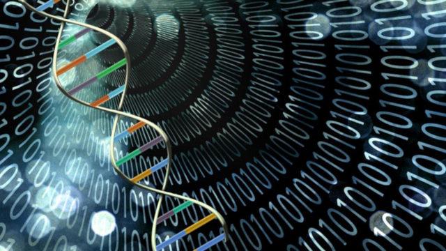 Laboratuvar Ortamında DNA Tabanlı Bir Bilgisayar Üretildi