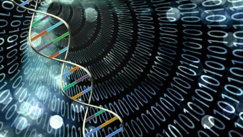 Laboratuvar Ortamında DNA Tabanlı Bir Bilgisayar Üretildi