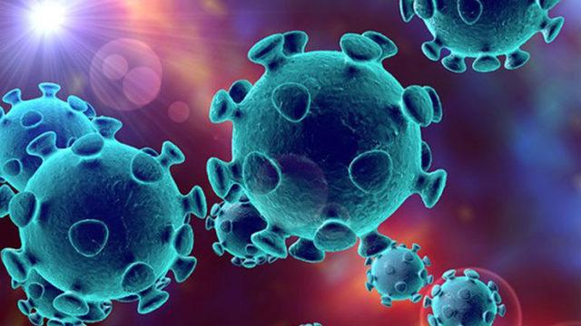 Uzmanlardan Korkutan Açıklama: ’Corona, Artık Dünya Çapında Bir Salgın’